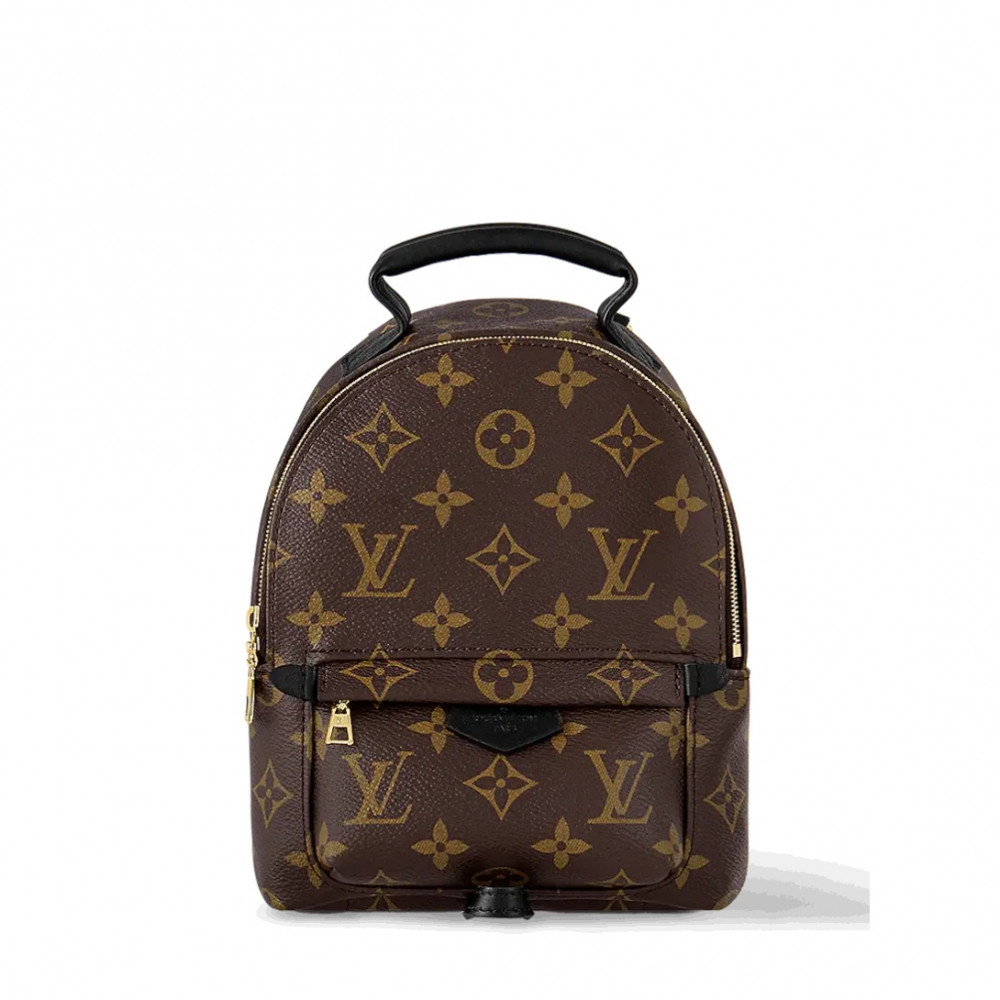 Рюкзак Louis Vuitton Palm Springs Mini "Brown"