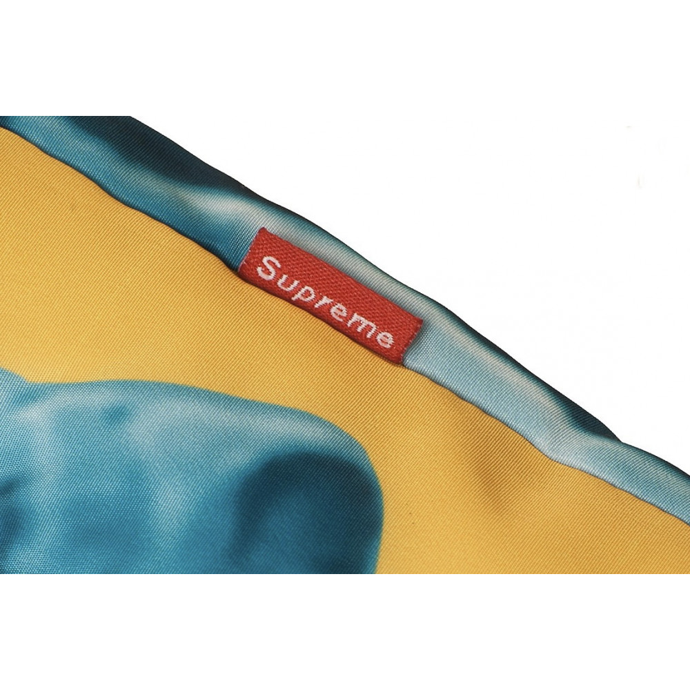 Куртка The North Face x Supreme Statue of Liberty Baltoro "Yellow"