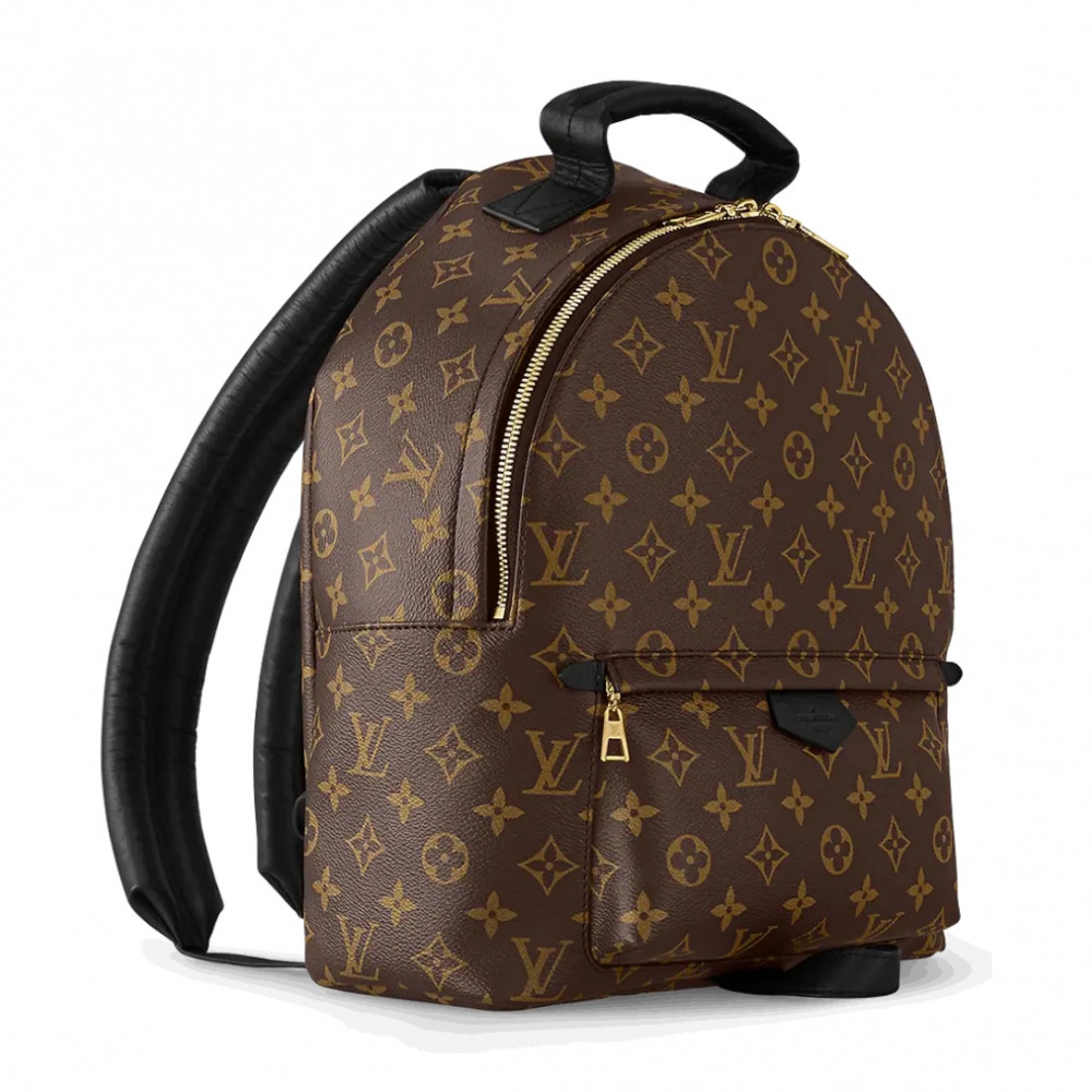 Рюкзак Louis Vuitton Palm Springs MM  "Brown"