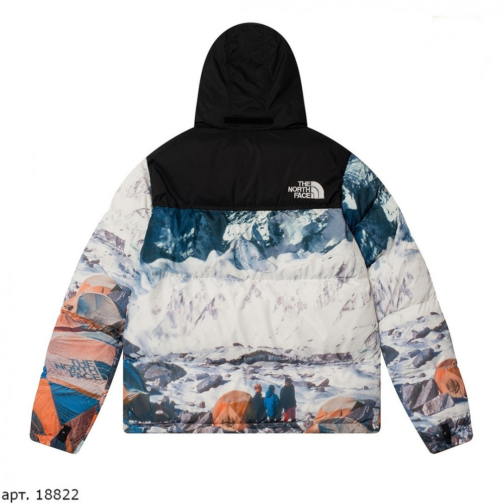 Куртка The North Face 700 "18822"