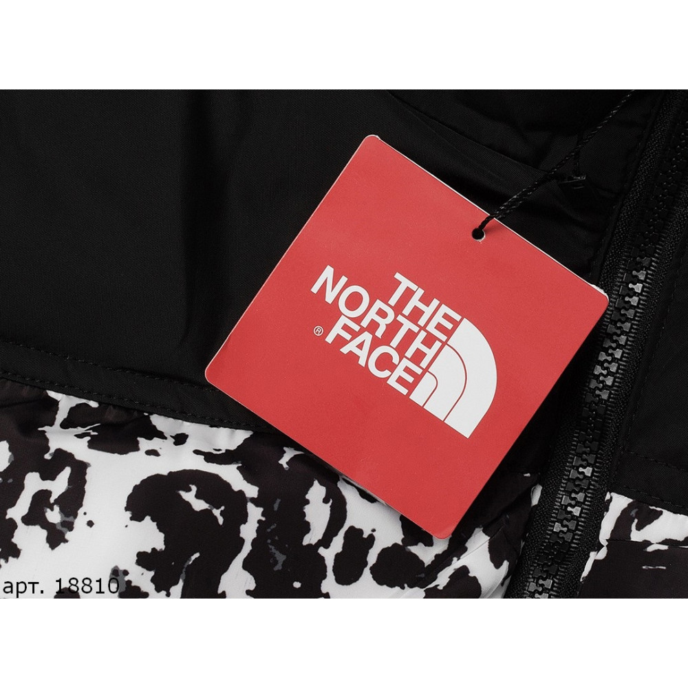 Куртка The North Face 700 "18810"