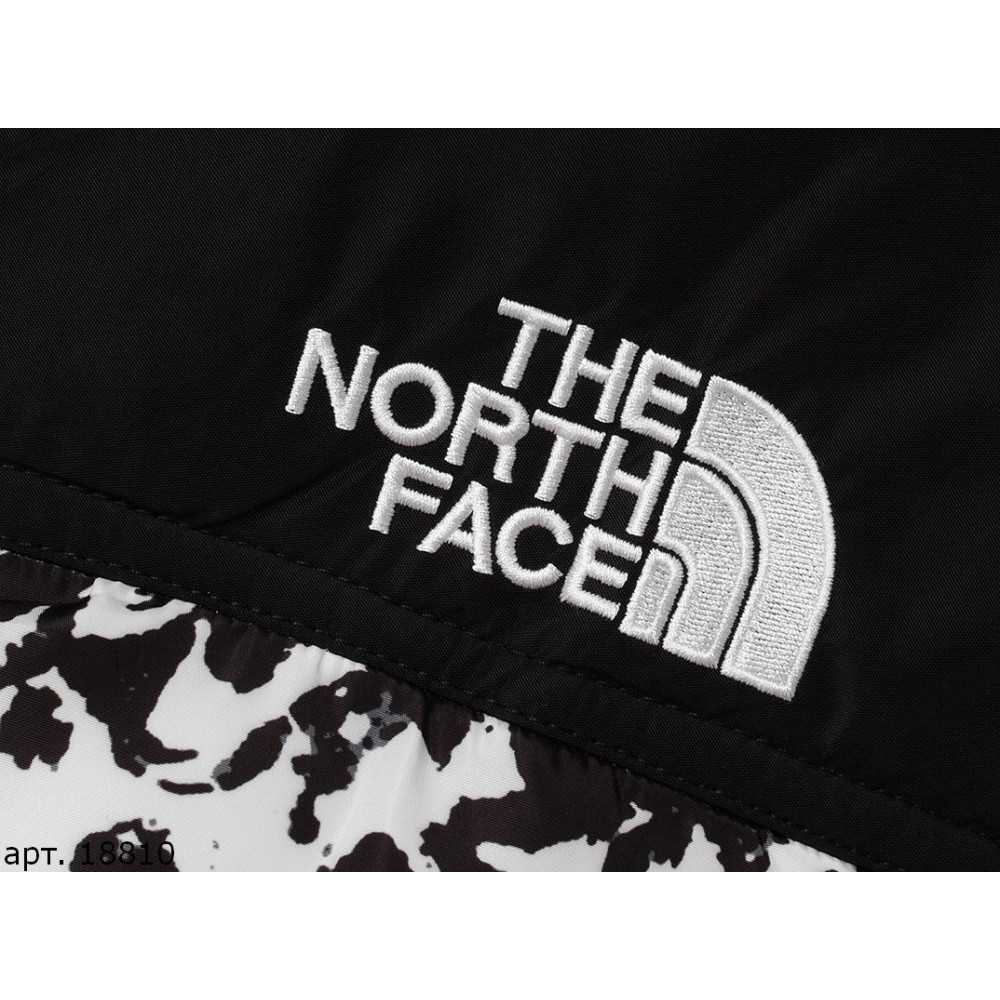 Куртка The North Face 700 "18810"