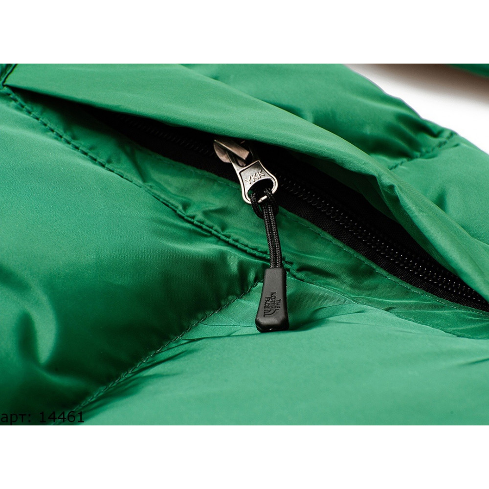 Куртка The North Face 700 "Black/Green"